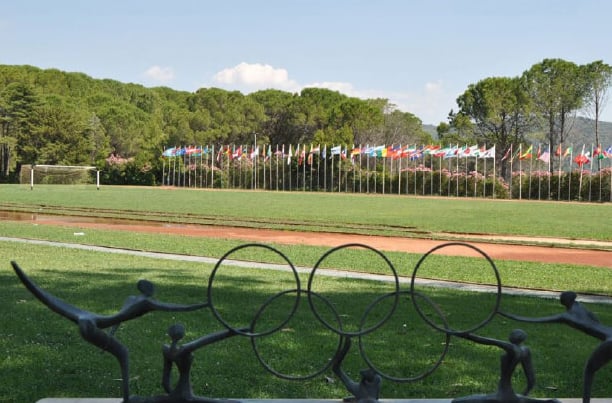 img-ioa-outdoor-flags