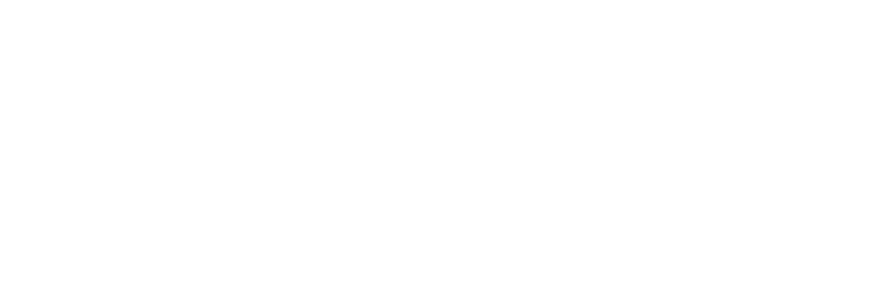 Hudson Global Scholars